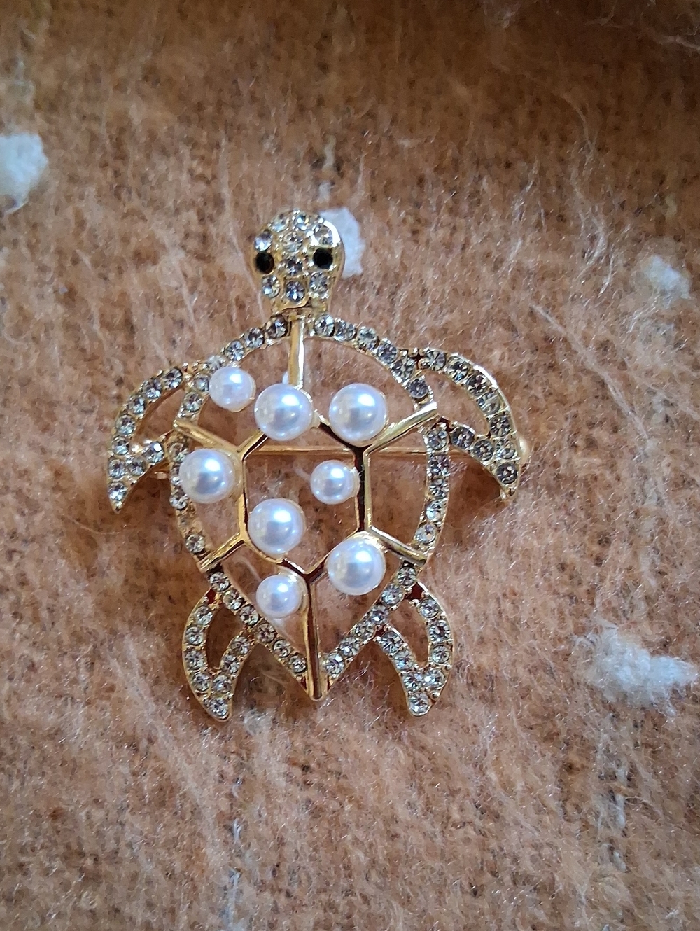 Turtle Brooch